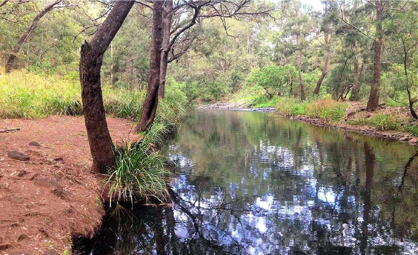 127 River Rd, Millstream QLD 4888, Image 0