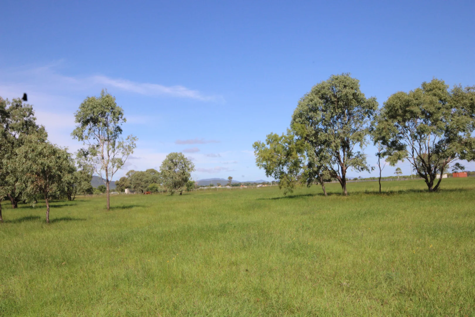 Image 15