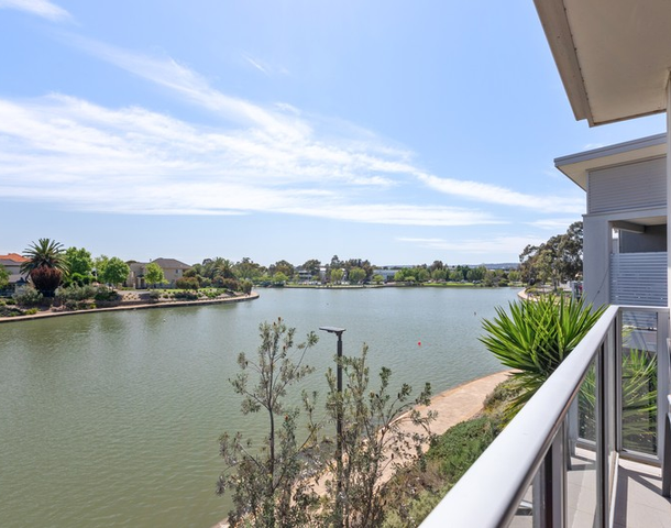 31 Douglas Drive, Mawson Lakes SA 5095