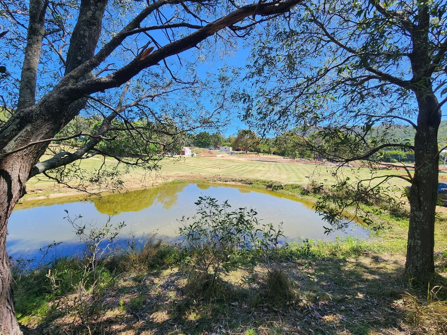 Willow Vale QLD 4209 House for Sale 1,200,000 Domain