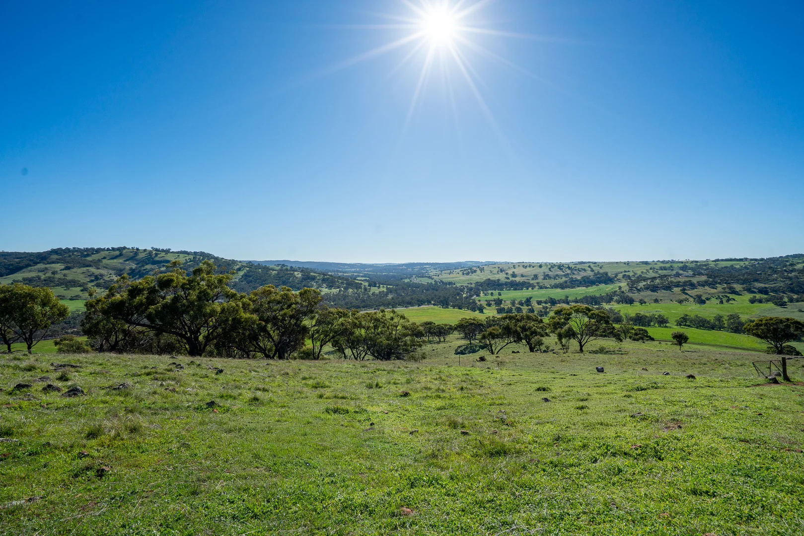 Toodyay WA 6566 photo 4