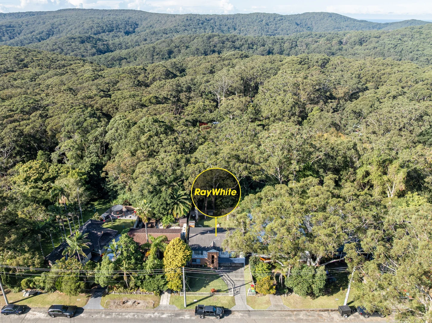 Image 15