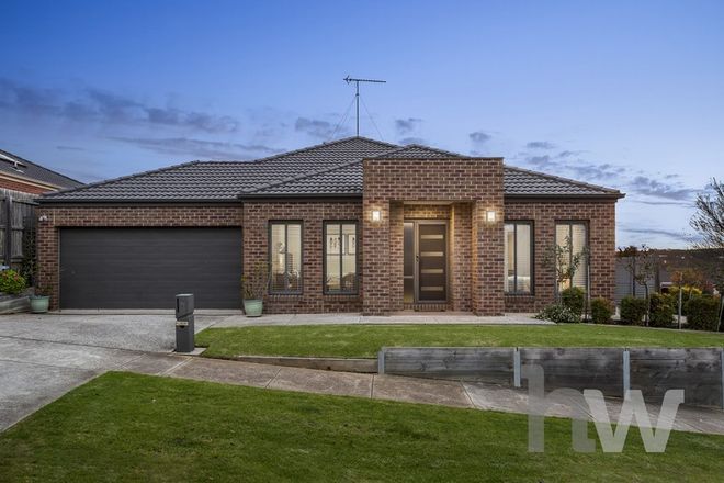 Picture of 79 Pethajohn Parade, GROVEDALE VIC 3216
