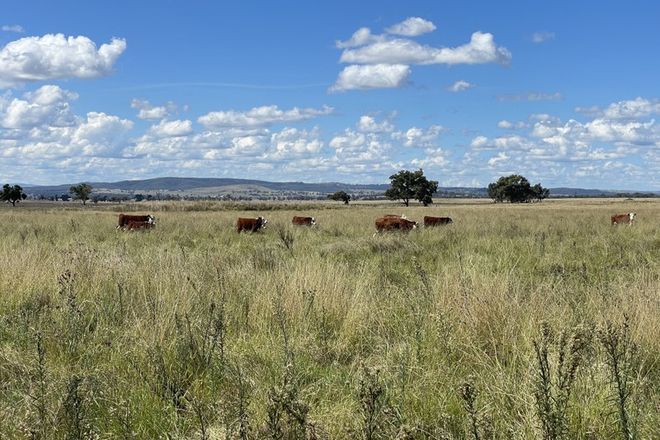 Picture of 'Boston' Castlereagh Highway, BIRRIWA NSW 2844