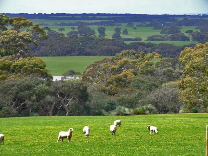 Lot 51 Bark Hut Road, Cassini SA 5223, Image 1