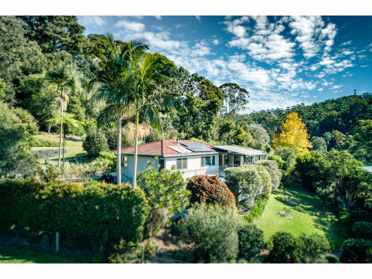 25 Scotchman Road, Bellingen NSW 2454, Image 0