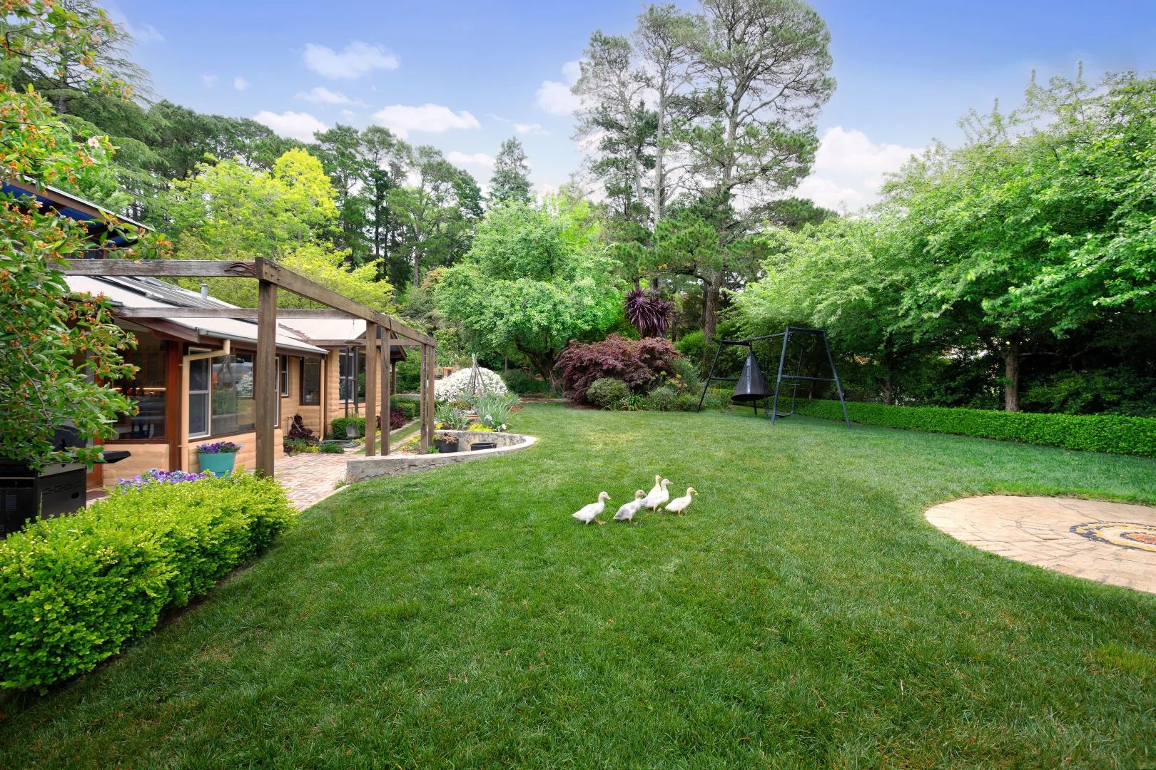 Additional image 13 of 38 Jamieson Street, Wentworth Falls NSW 2782