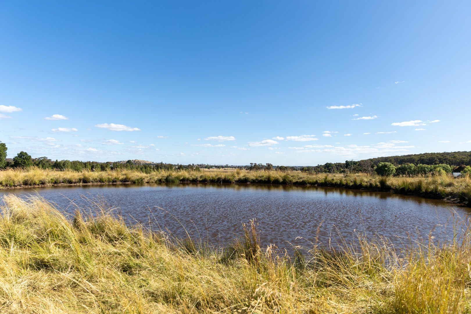 'Marraweeney' 798 Boorolong Road, Armidale NSW 2350, Image 2