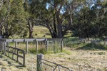 Image 13