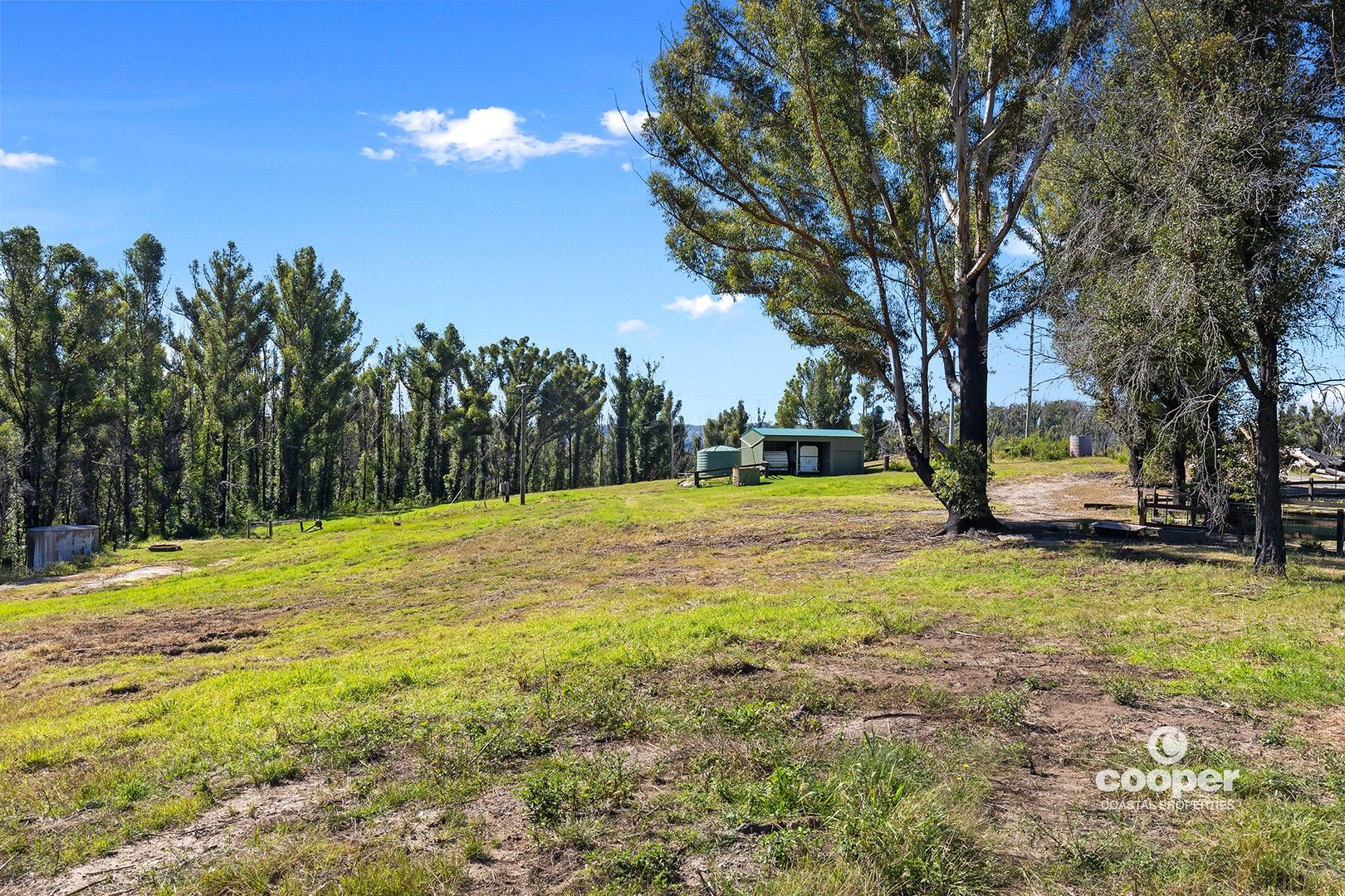 4 Bloodwood Road, Yatte Yattah NSW 2539, Image 1