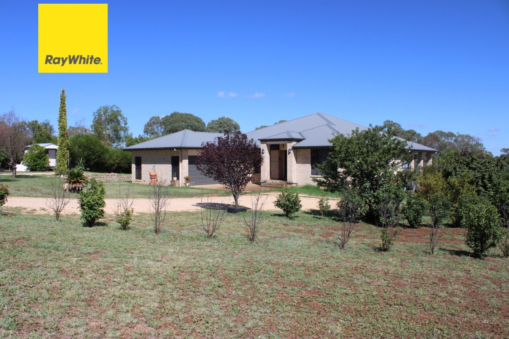 255D Swanbrook Road, Inverell NSW 2360, Image 1