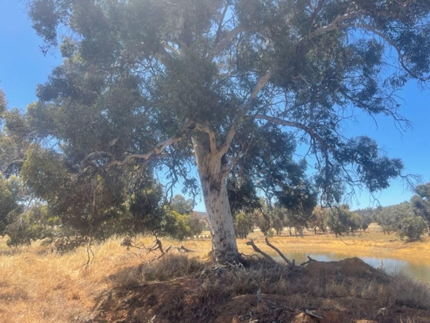 1/304 Forrest Street, Boddington WA 6390 House for Sale 170,000