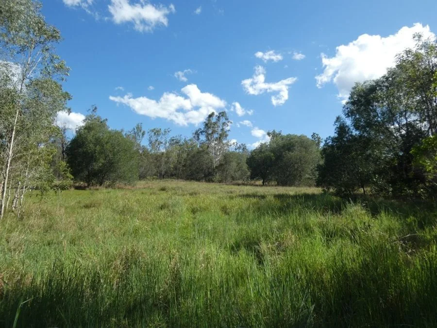 Image 31