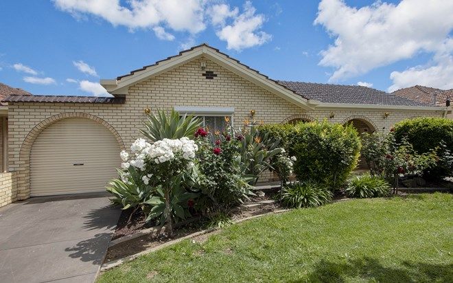 Picture of 5 Lillian Street, FINDON SA 5023
