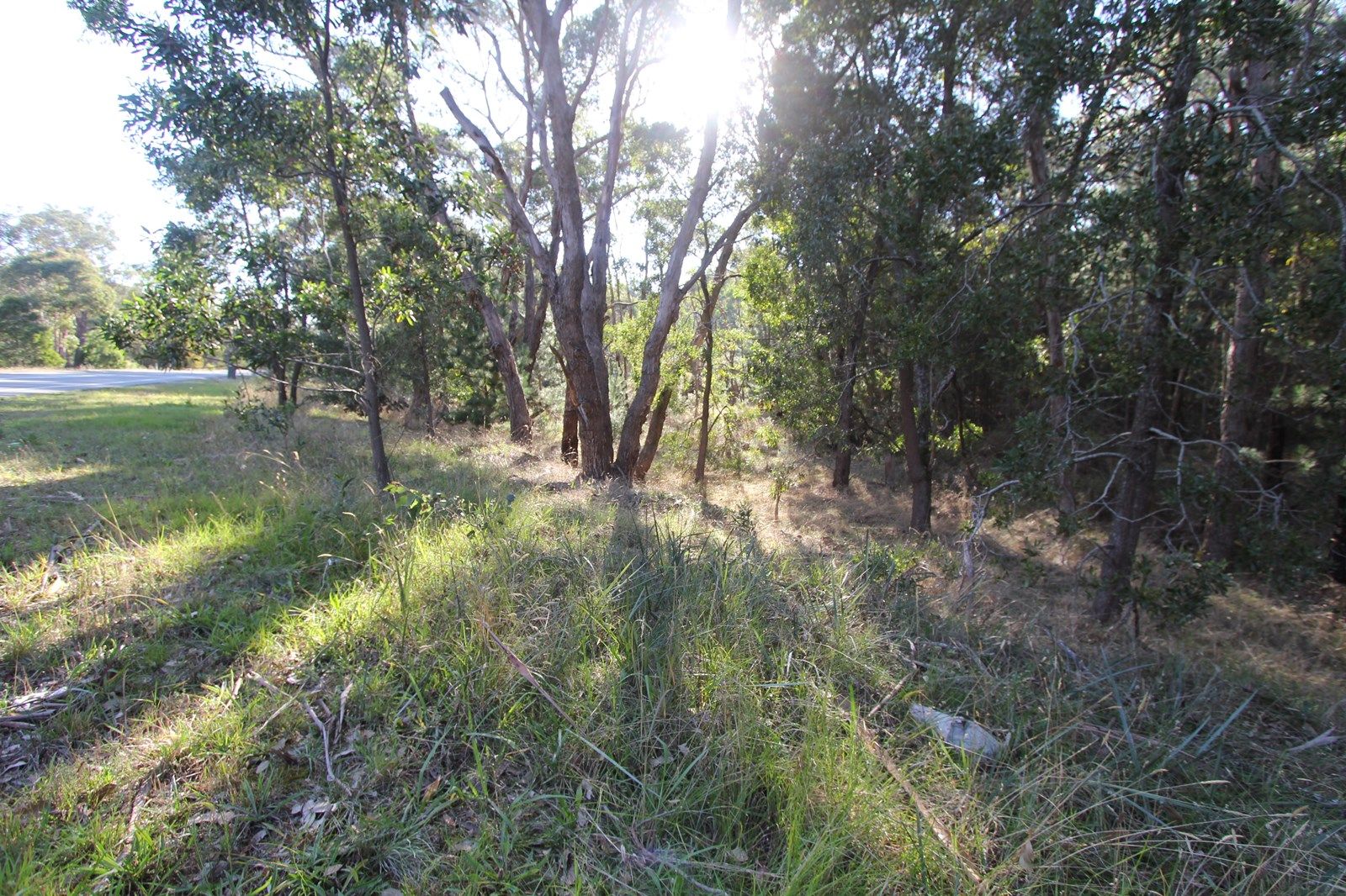 Lot 4 Glenelg Highway, Scarsdale VIC 3351, Image 1