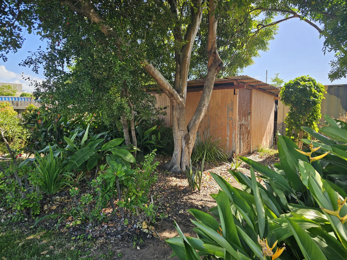Image 25