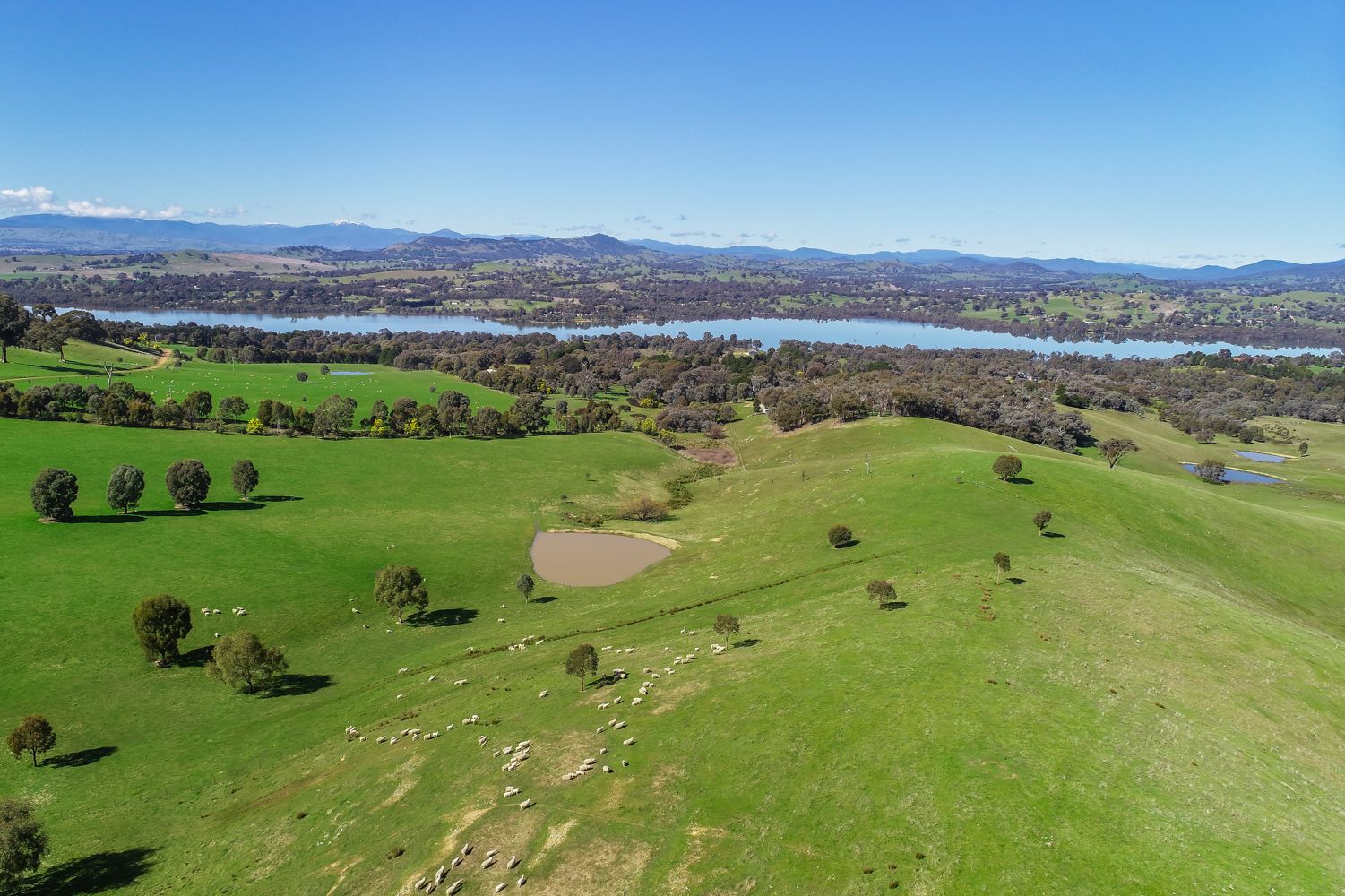 3 Redhill Court, Mansfield VIC 3722 Vacant Land for Sale 1,400,000