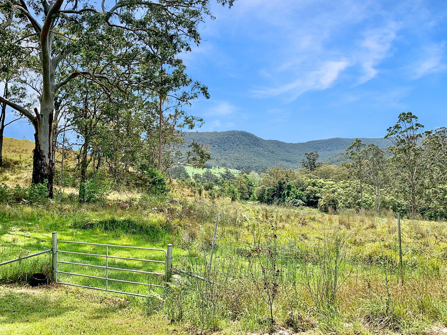 1646 Congewai Rd, Congewai NSW 2325, Image 2