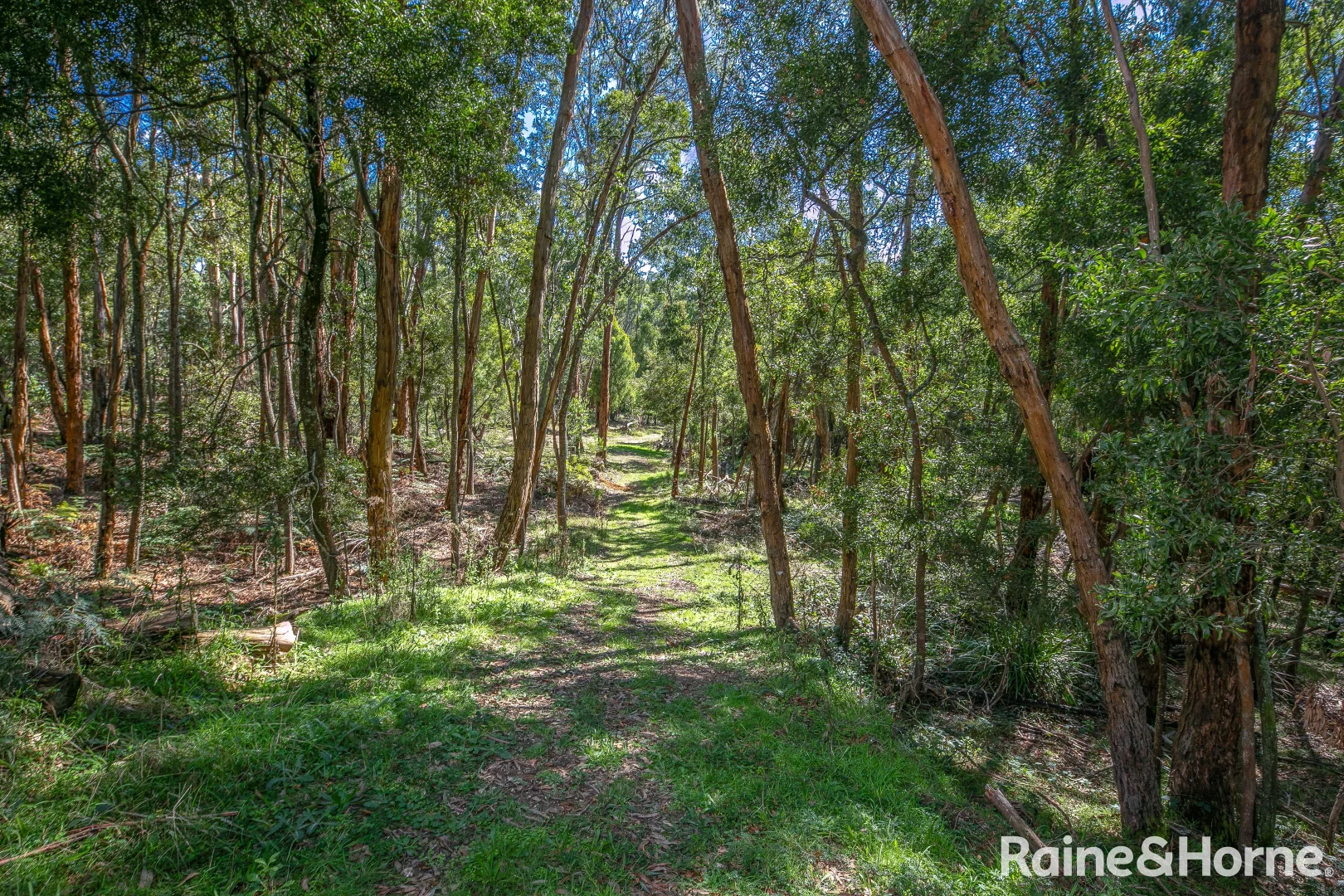 Additional image 29 of 162 Fitzgerald Road, Bullengarook VIC 3437