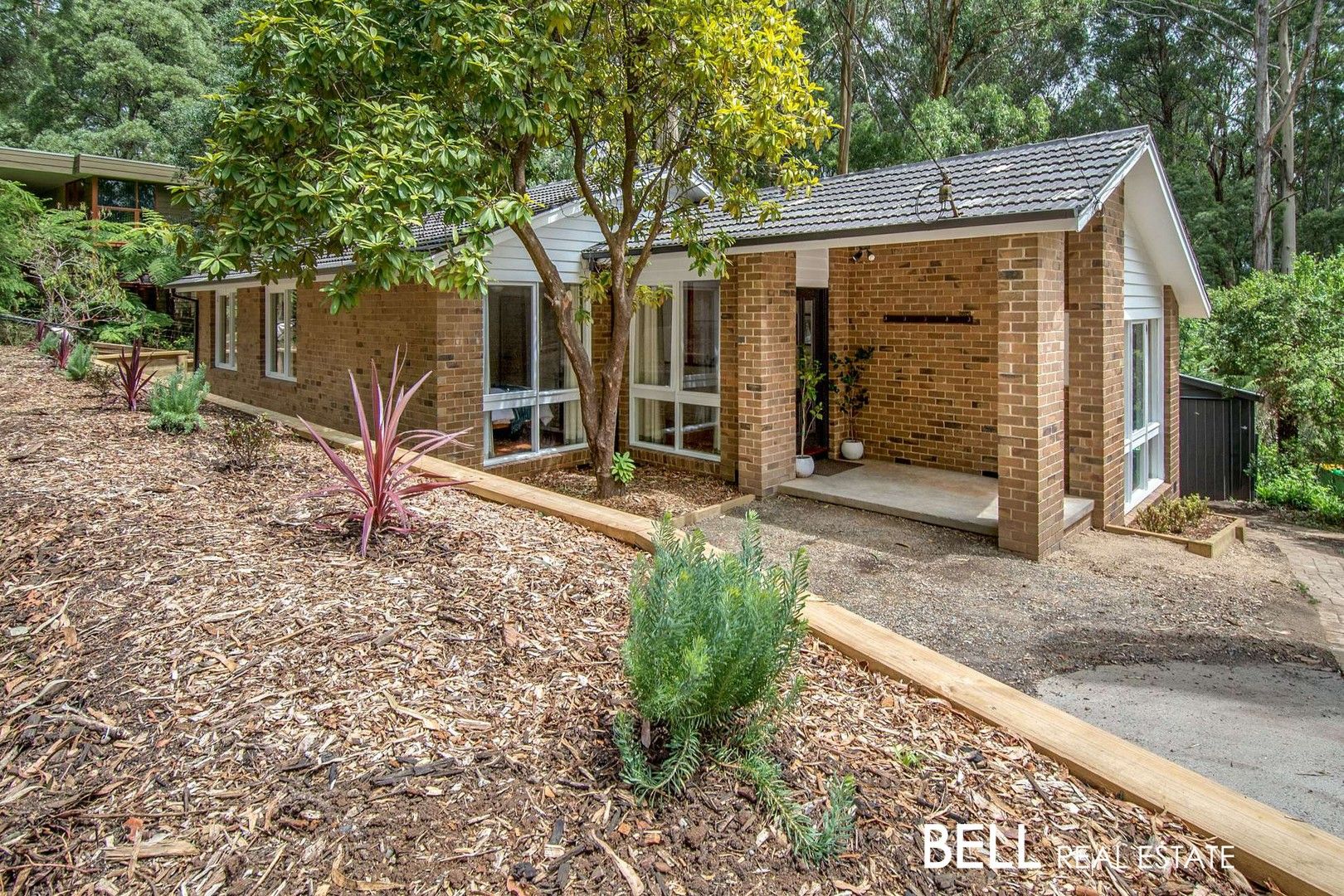 11 Alice Street, Sassafras VIC 3787, Image 0