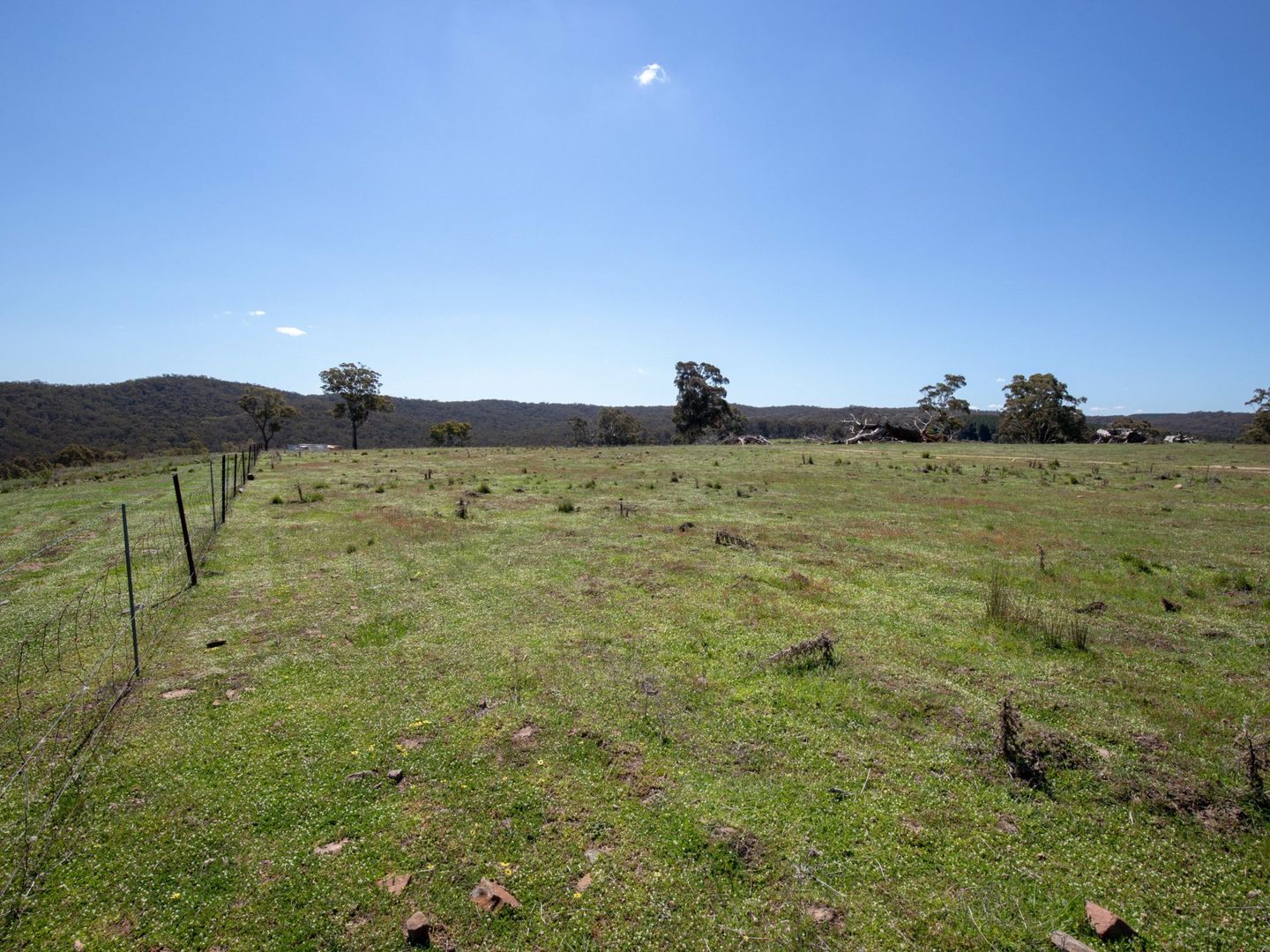 1362 Bald Ridge Road, Burraga NSW 2795, Image 2