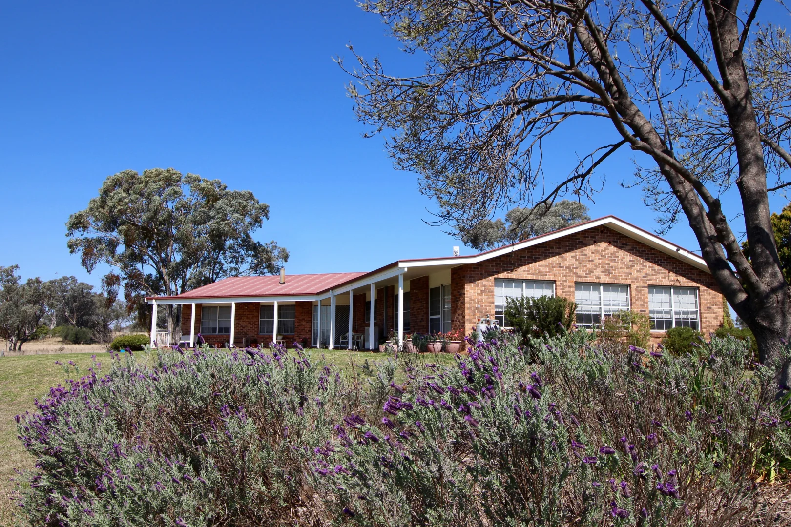 Additional image 29 of 88 Toms Dr, Inverell NSW 2360
