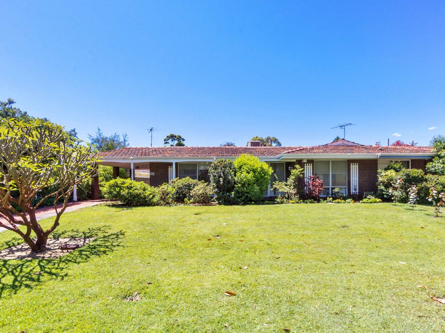 697 Hay Street, Jolimont WA 6014, Image 0