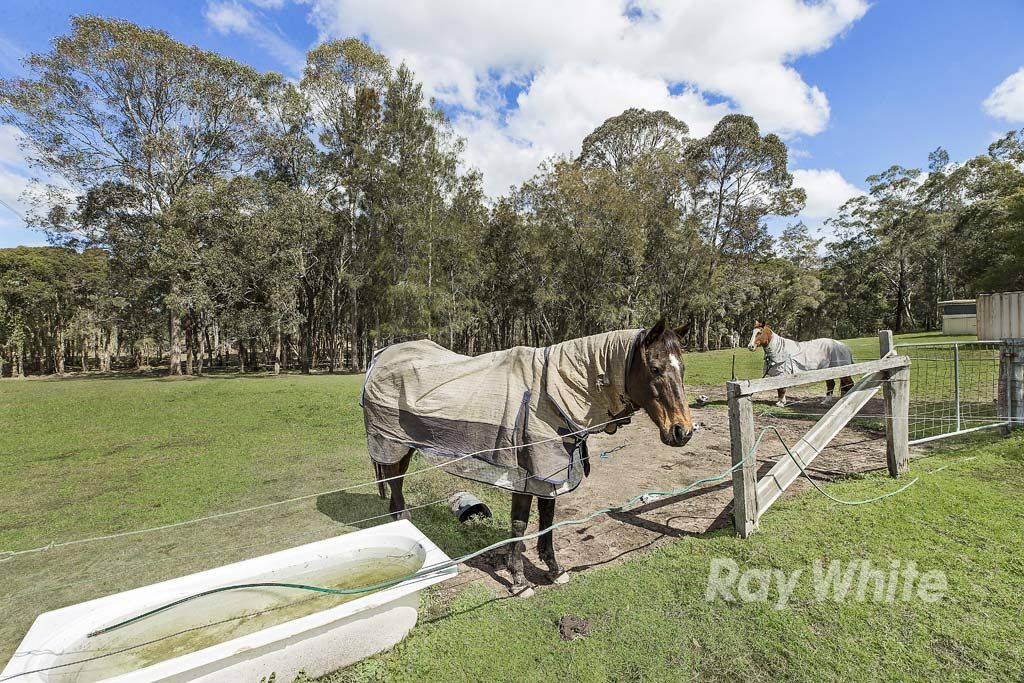 3 bedrooms Acreage / Semi-Rural in 247 Freemans Drive MORISSET NSW, 2264