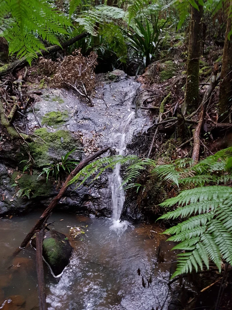 Image 33