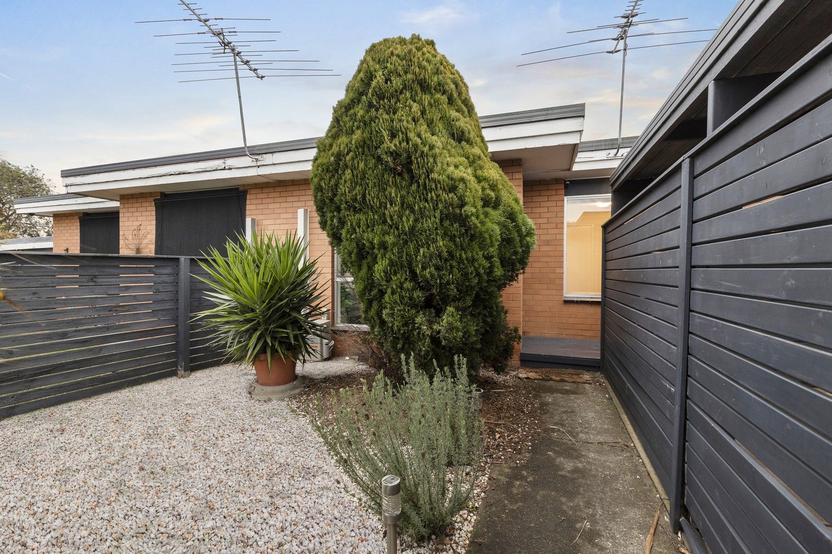 1/2 Lantana Avenue, Hamlyn Heights VIC 3215, Image 1