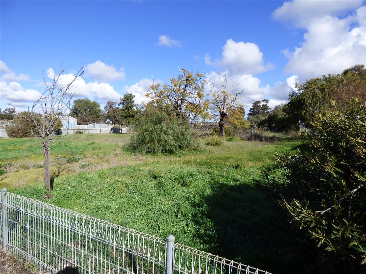 24 Mill Street, Minyip VIC 3392, Image 2