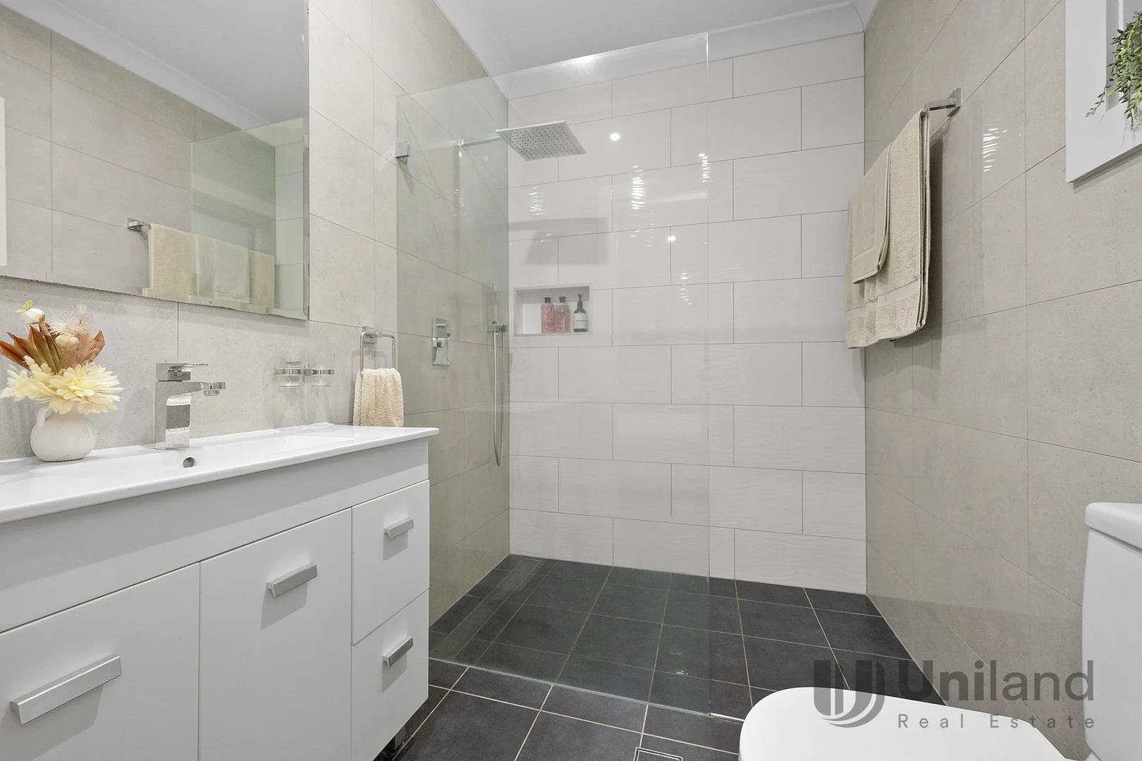 Additional image 18 of 8 Cecil Street, Denistone East NSW 2112