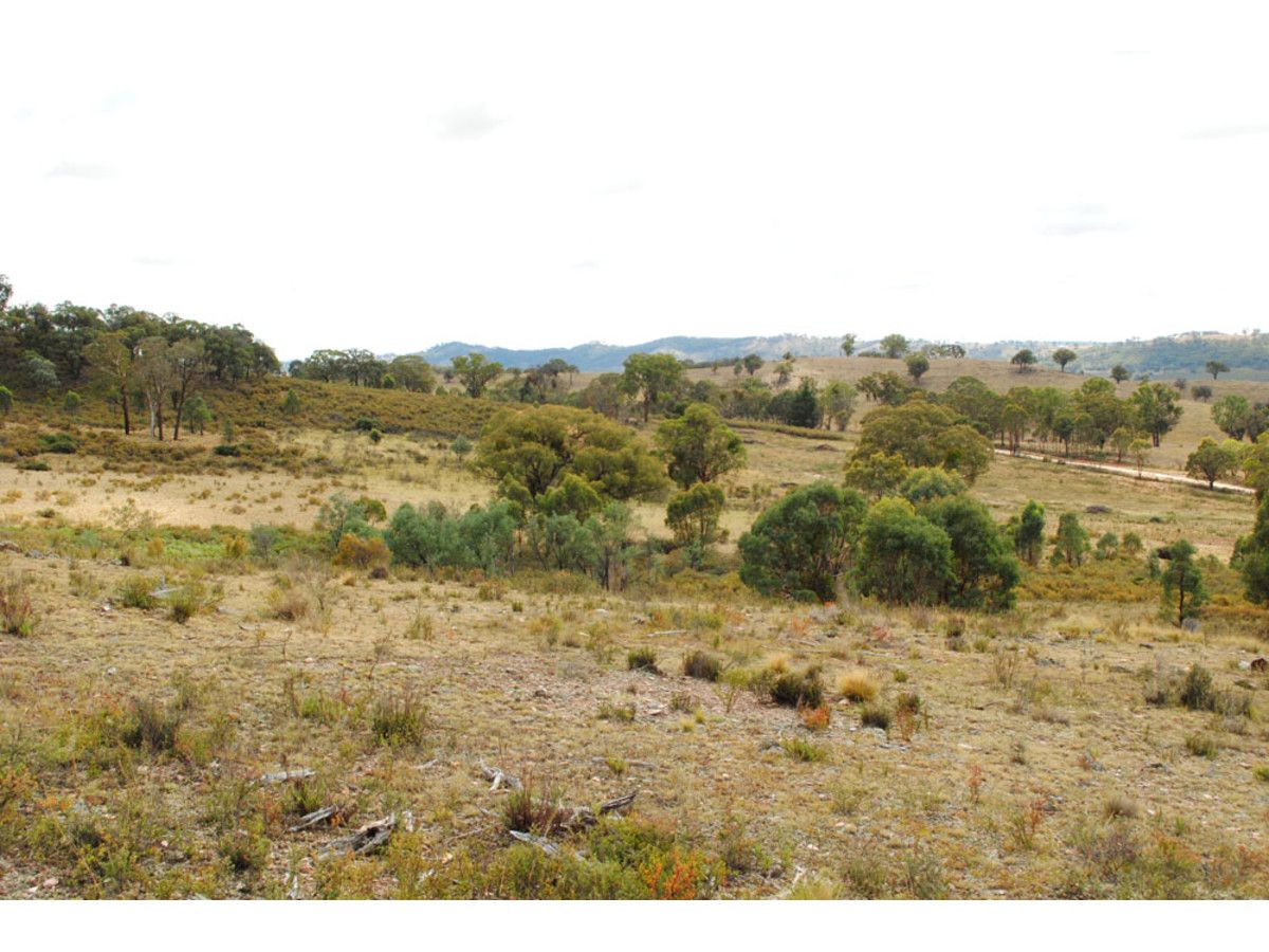 201 Dry Creek Road, Lower Lewis Ponds NSW 2800, Image 2