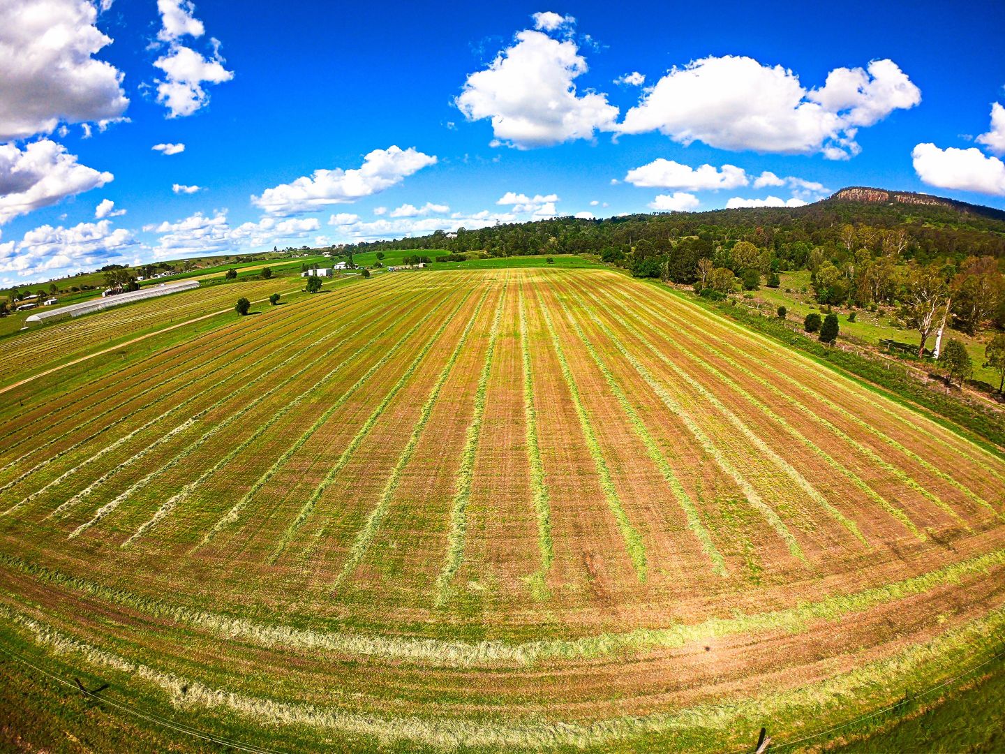 3 Tutin Road, Fassifern Valley QLD 4309, Image 1