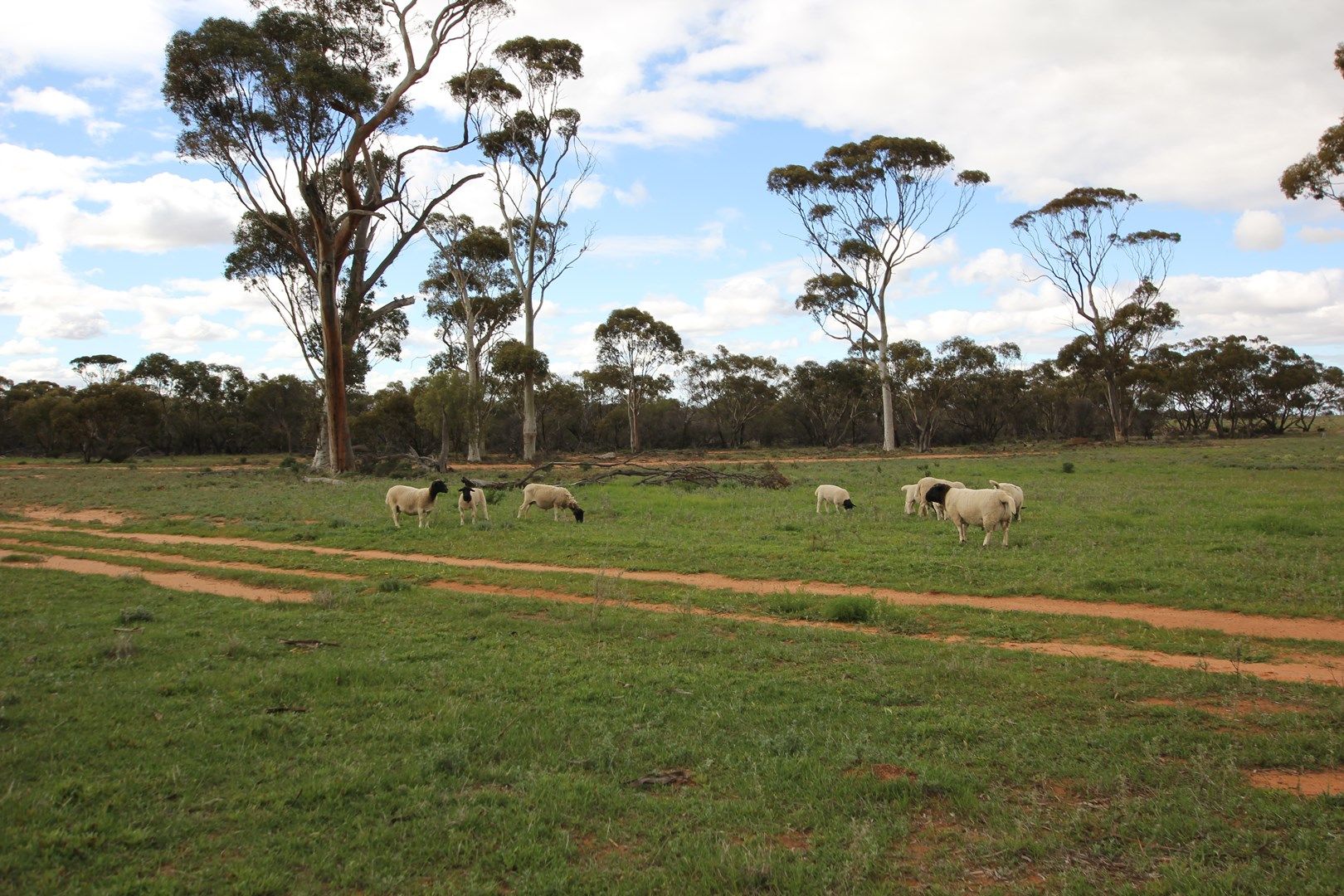 Lot 14047 Talgomine Reserve Road, Talgomine WA 6490, Image 0