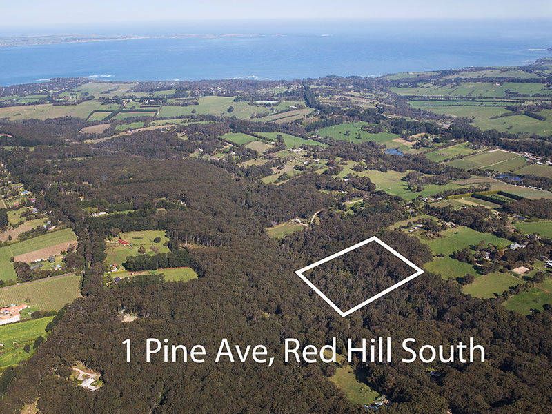 1 Pine Avenue, Red Hill VIC 3937, Image 0