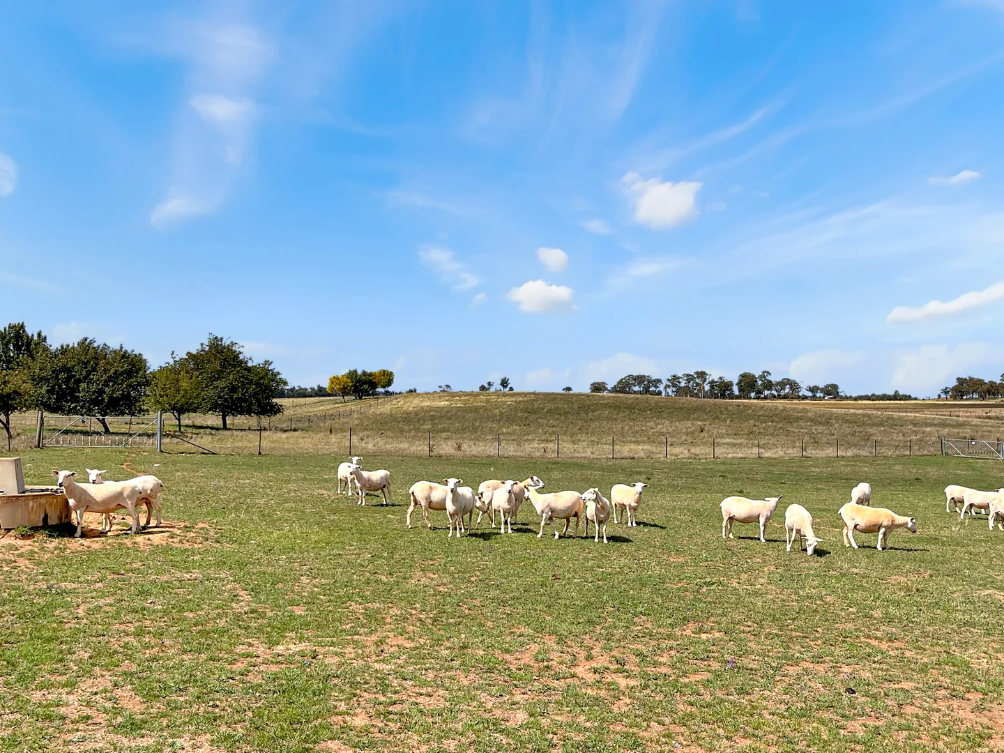 Additional image 24 of 75 Whiley Road, Spring Hill NSW 2800