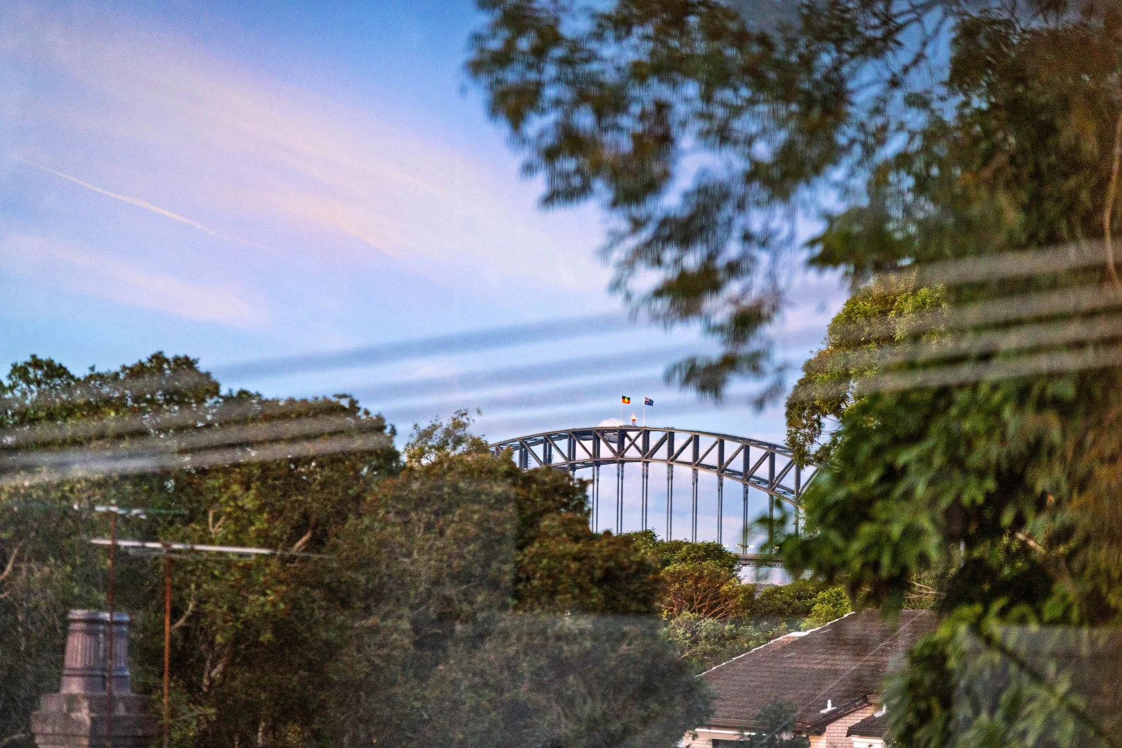 Image 12