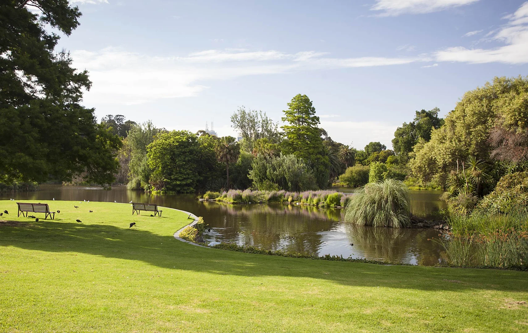 Additional image 10 of 2/4 Powell Street, South Yarra VIC 3141