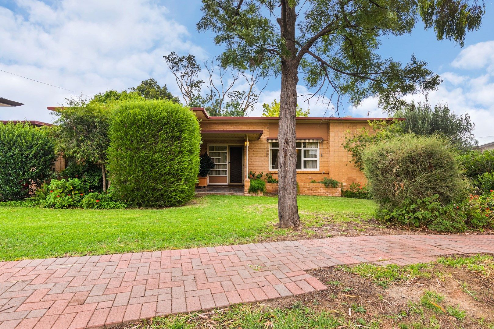 3 Buchan Avenue, Beaumont SA 5066, Image 0