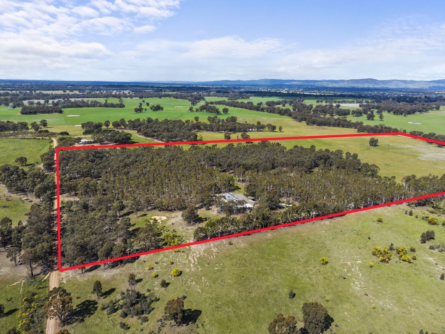 388 Palmer Road, Tamleugh VIC 3669, Image 2