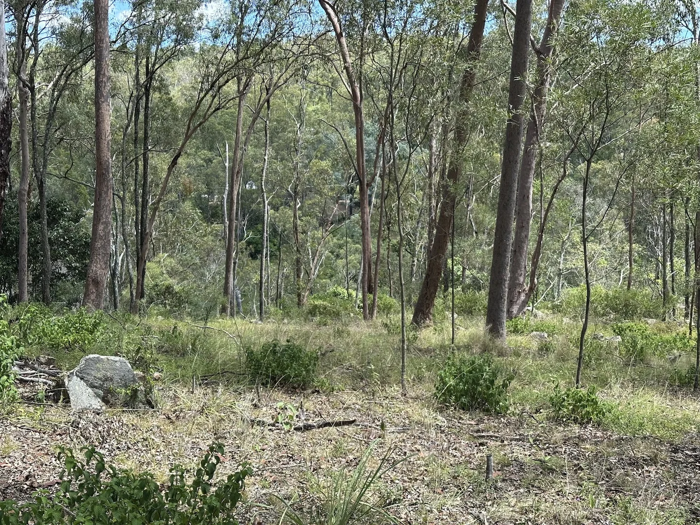 Additional image 16 of 142 Highland Street, Esk QLD 4312