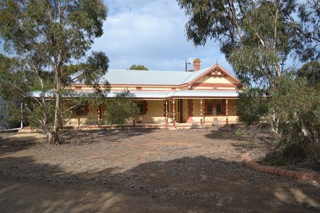 Picture of 134 Kerta Road, MYPOLONGA SA 5254