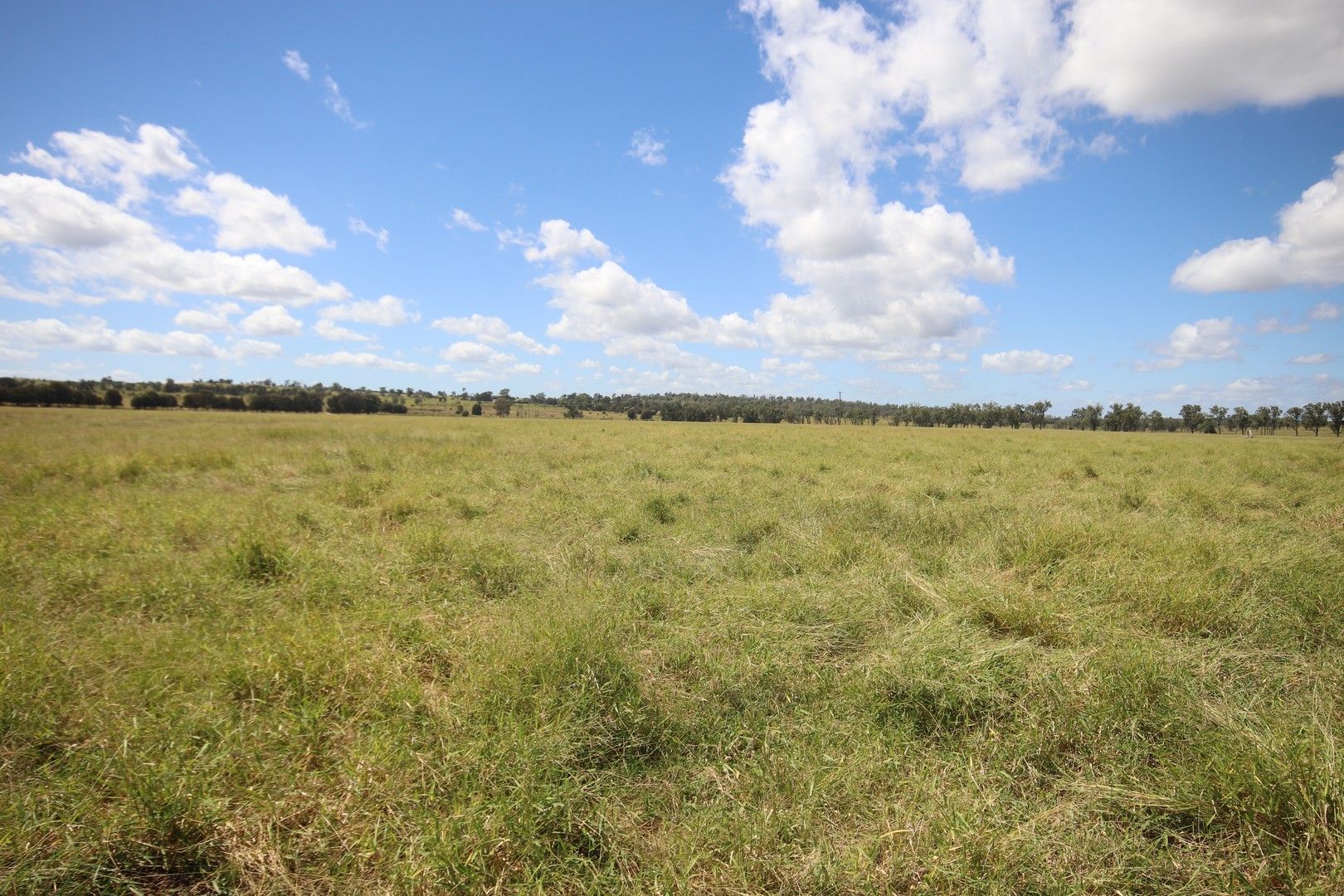 Lot 1/190 Loakes Road, Riverleigh, Mundubbera QLD 4626, Image 0