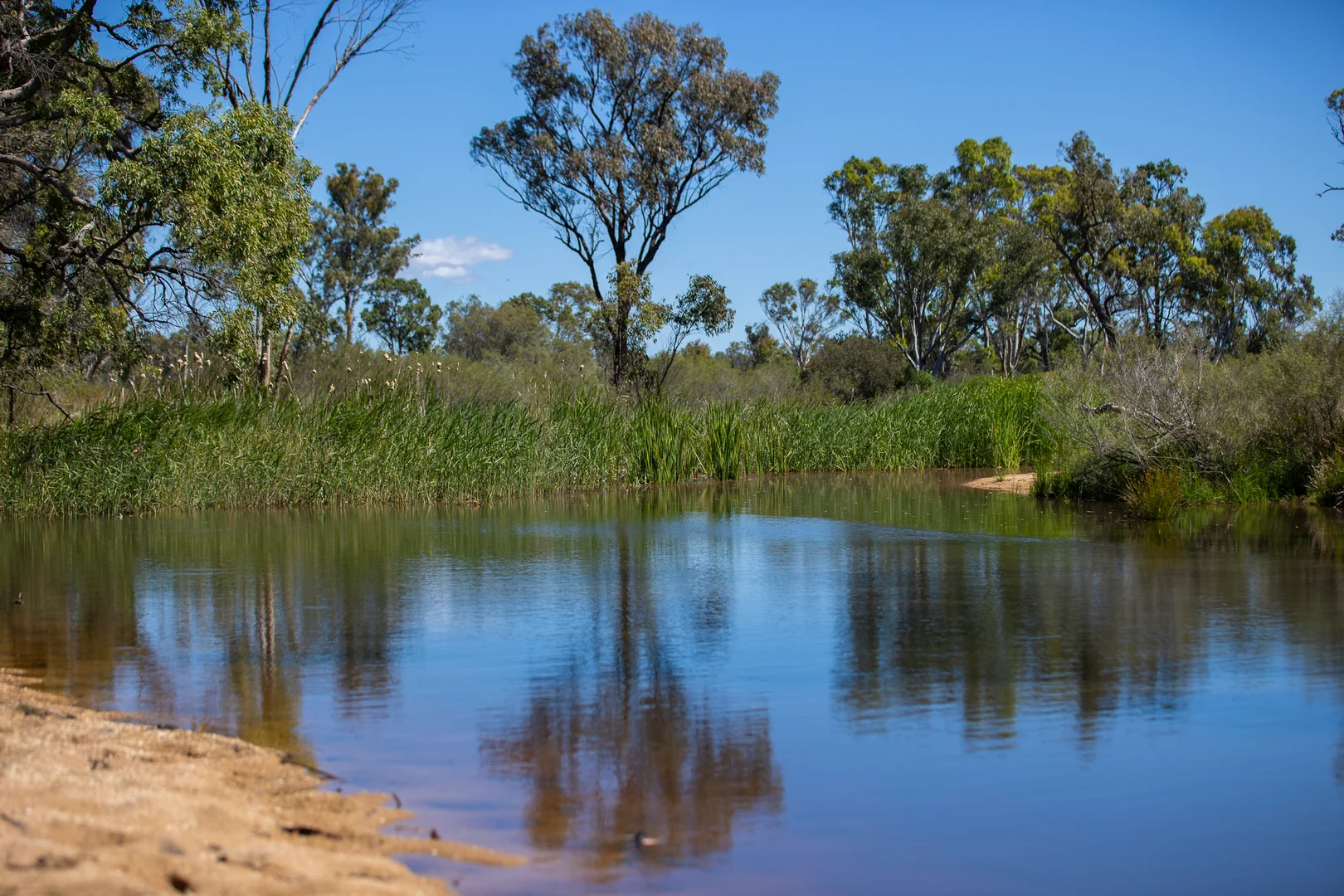 Additional image 25 of Inverell NSW 2360
