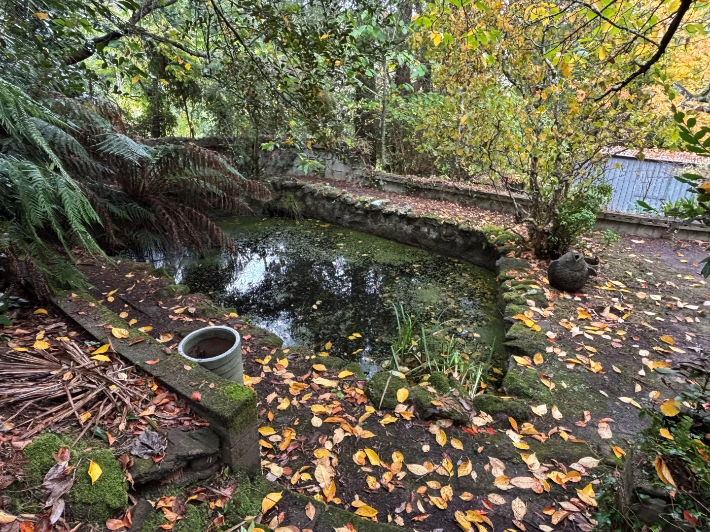 Image 18