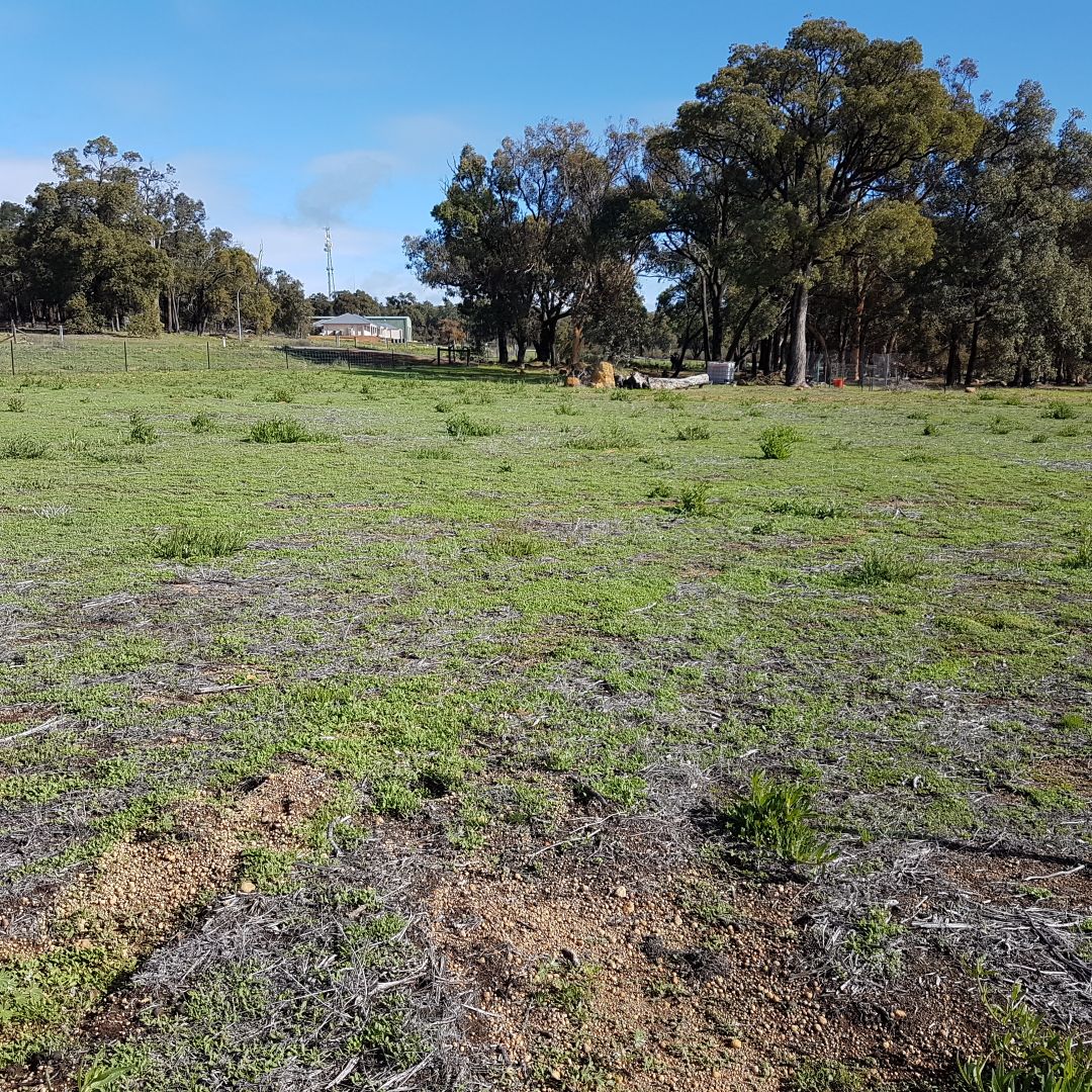 Lot 404 Brush Tail Brow, Bakers Hill WA 6562, Image 2