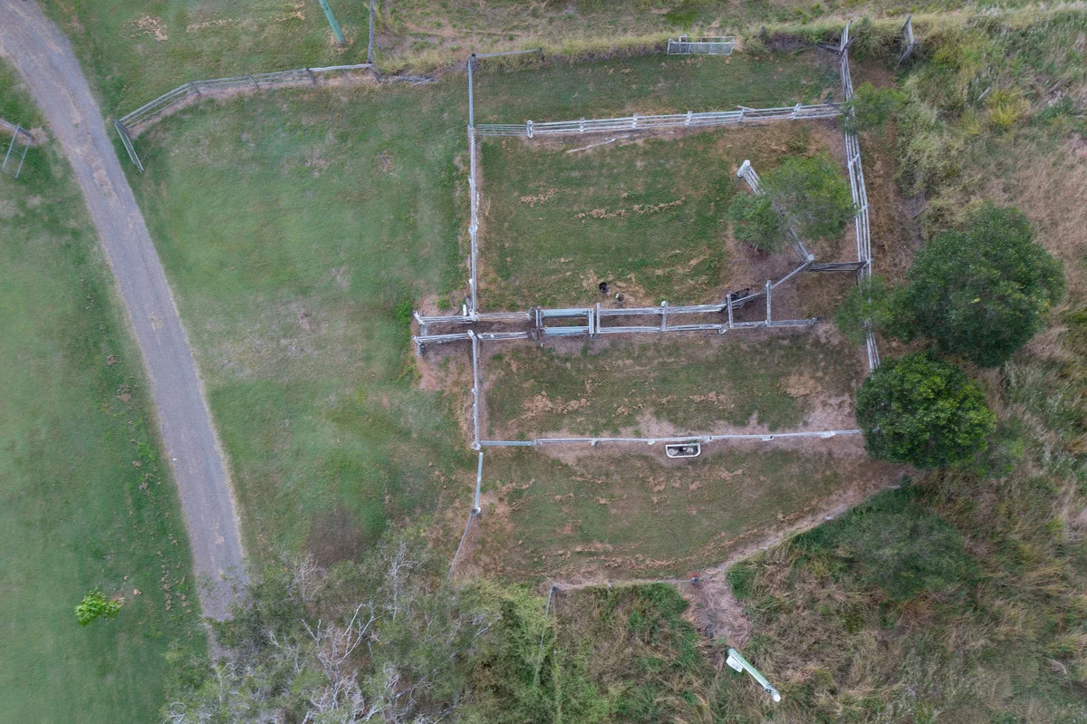 Image 34