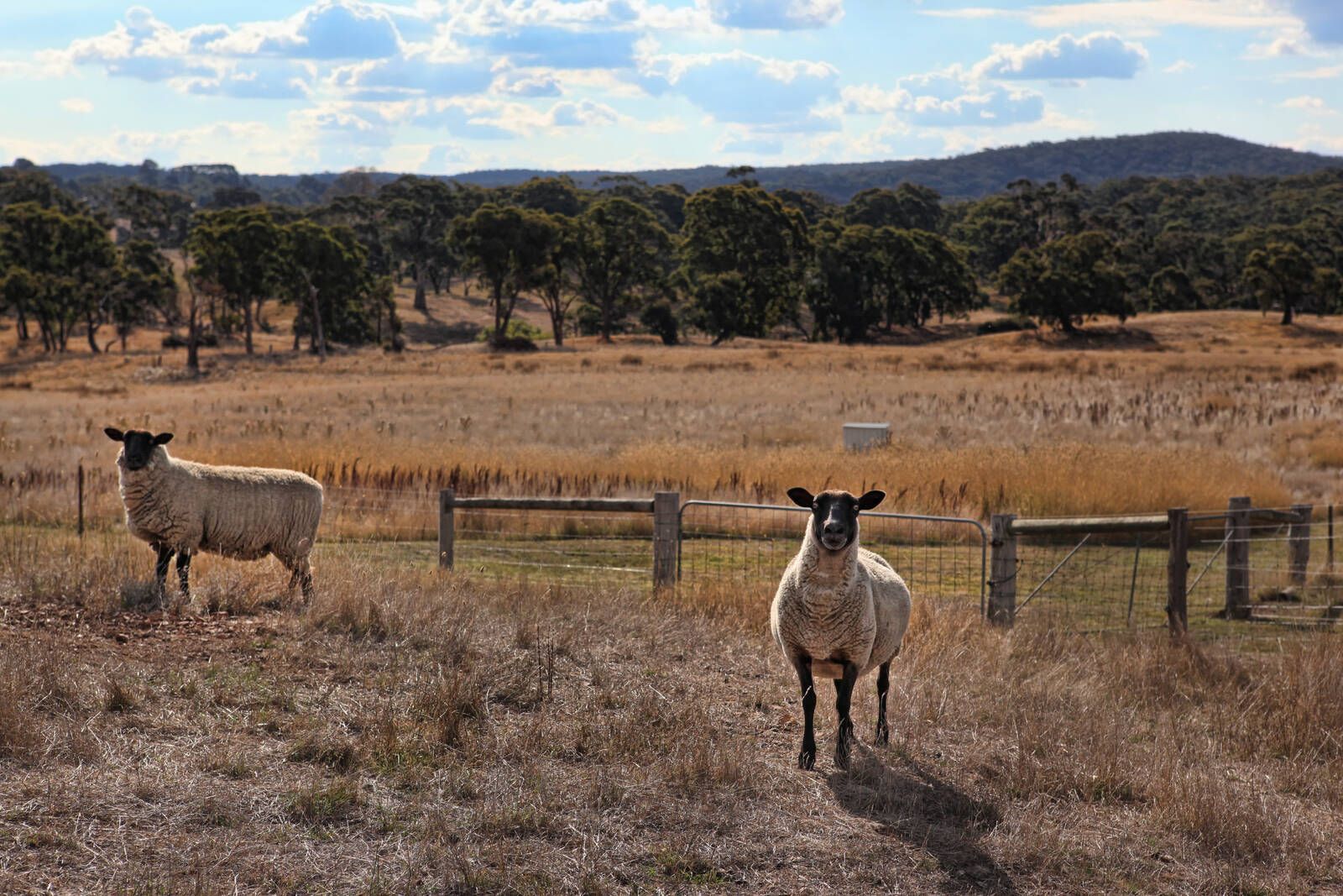 256 Zig Zag Road, Malmsbury VIC 3446, Image 1