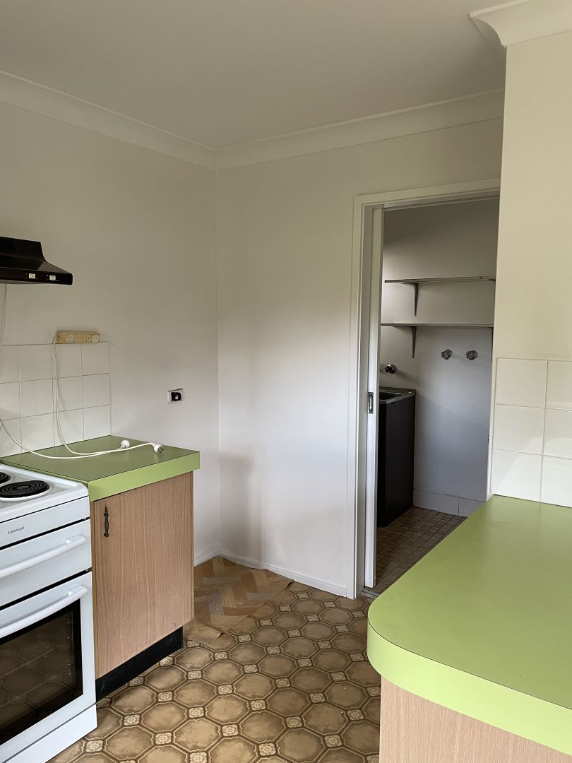 17 Knotwood Avenue, Macquarie Fields NSW 2564 House For Rent Domain